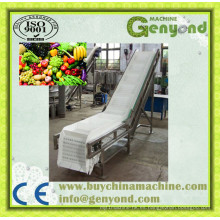 Línea de procesamiento de fruta limpia de verduras en China